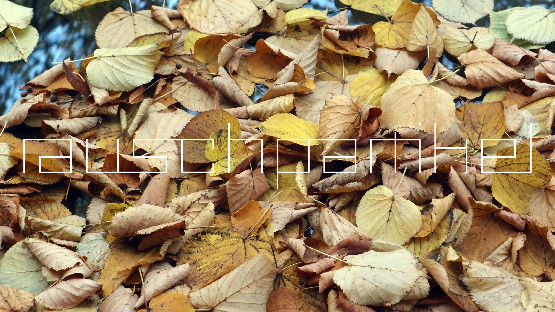 2022-10-12 Wort Bild Virus (Foto)