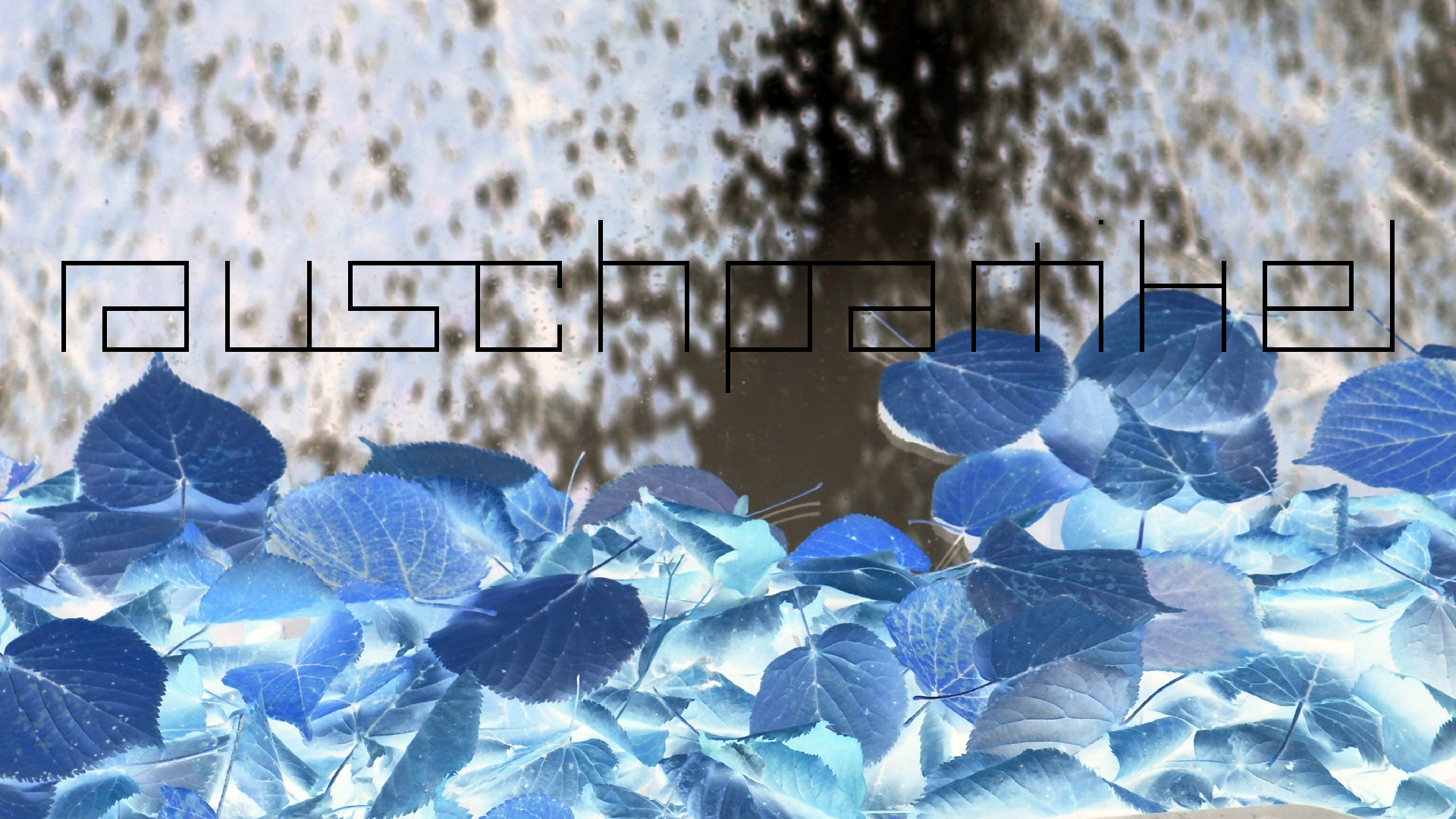 2022-10-12 Wort Bild Virus (Foto)