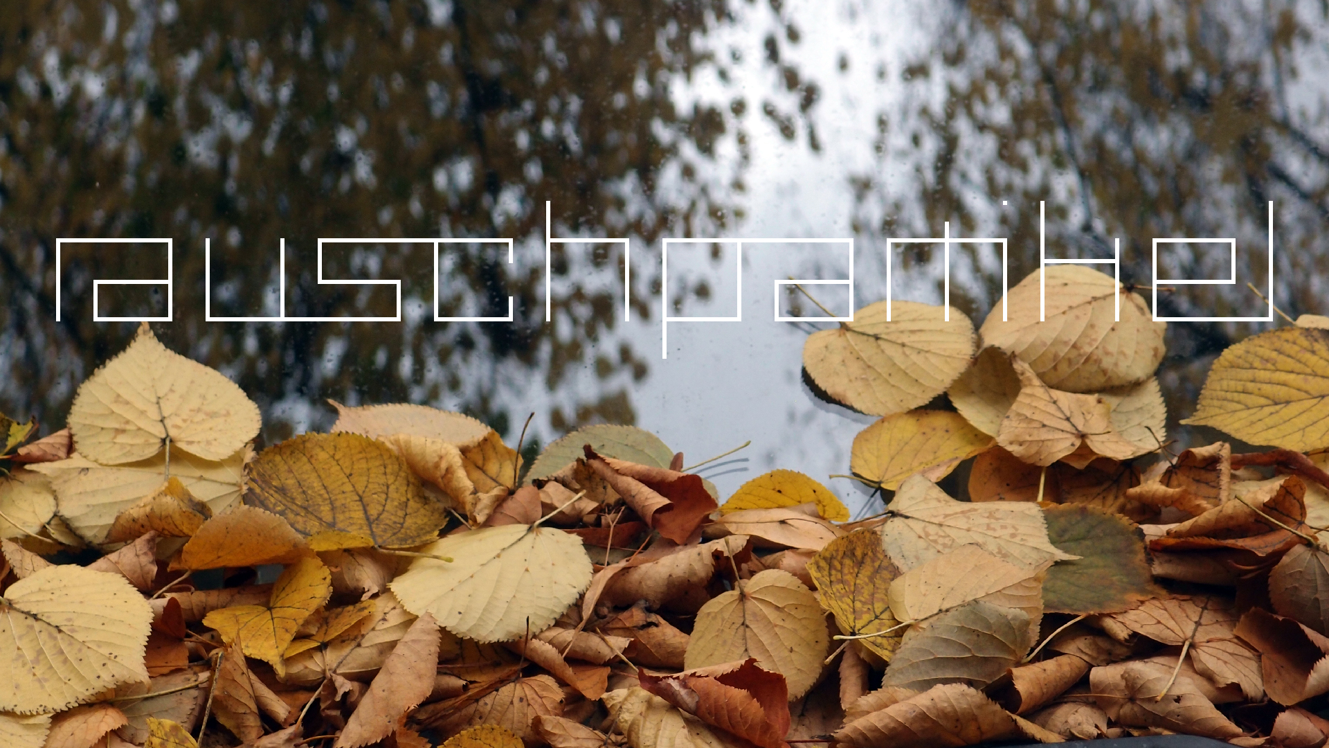 2022-10-12 Wort Bild Virus (Foto)