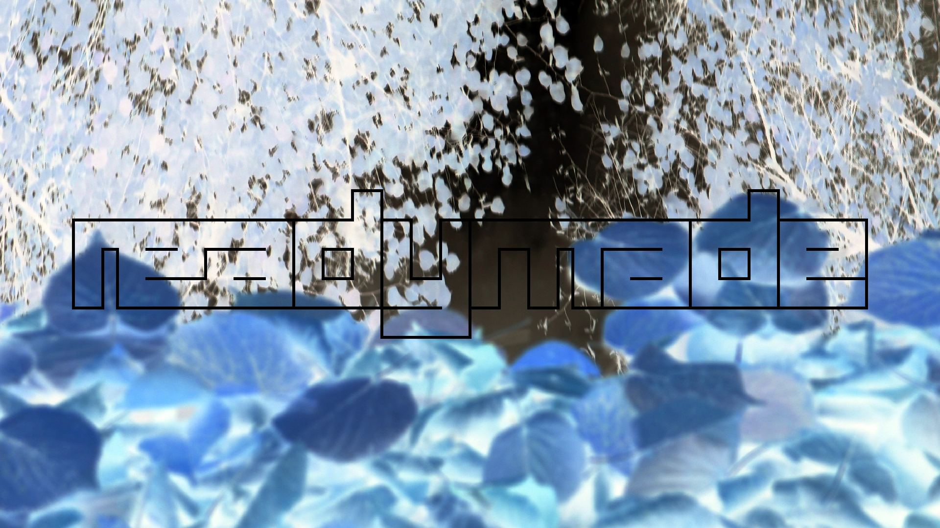 2022-10-12 Wort Bild Virus (Foto)