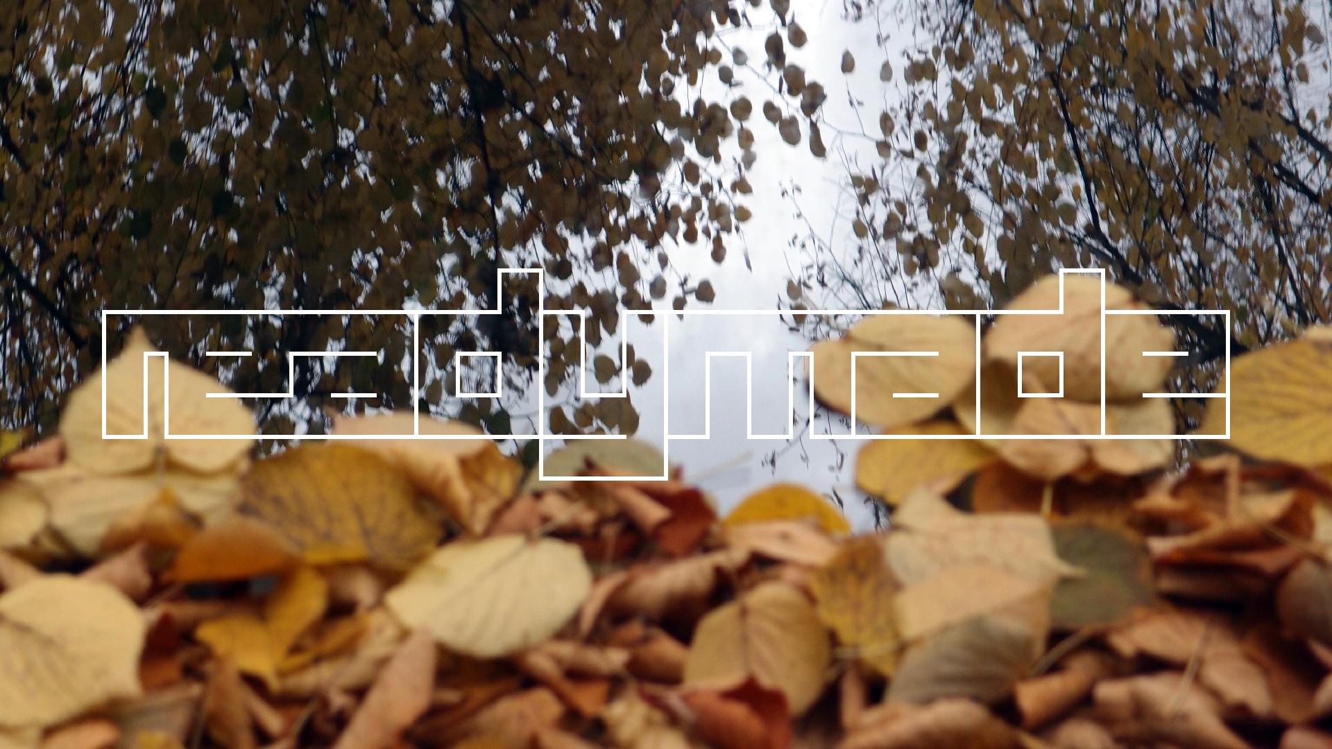 2022-10-12 Wort Bild Virus (Foto)