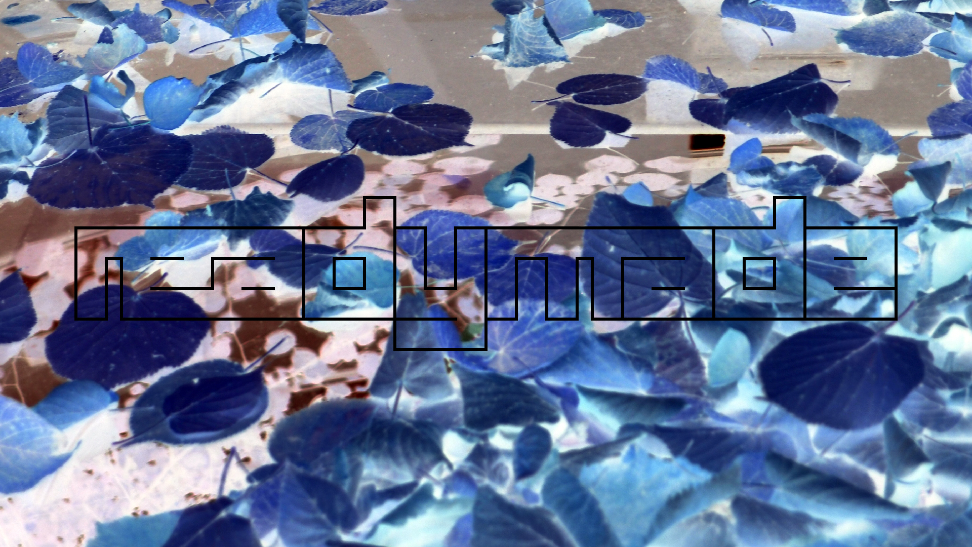 2022-10-12 Wort Bild Virus (Foto)