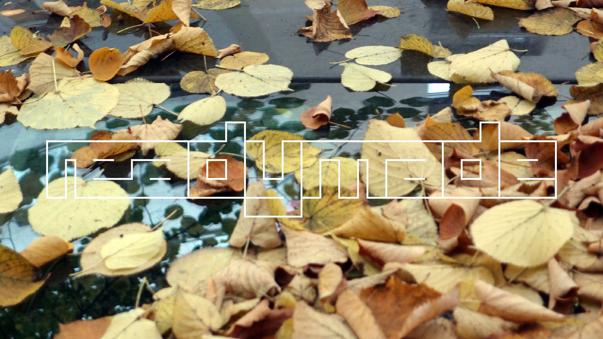 2022-10-12 Wort Bild Virus (Foto)