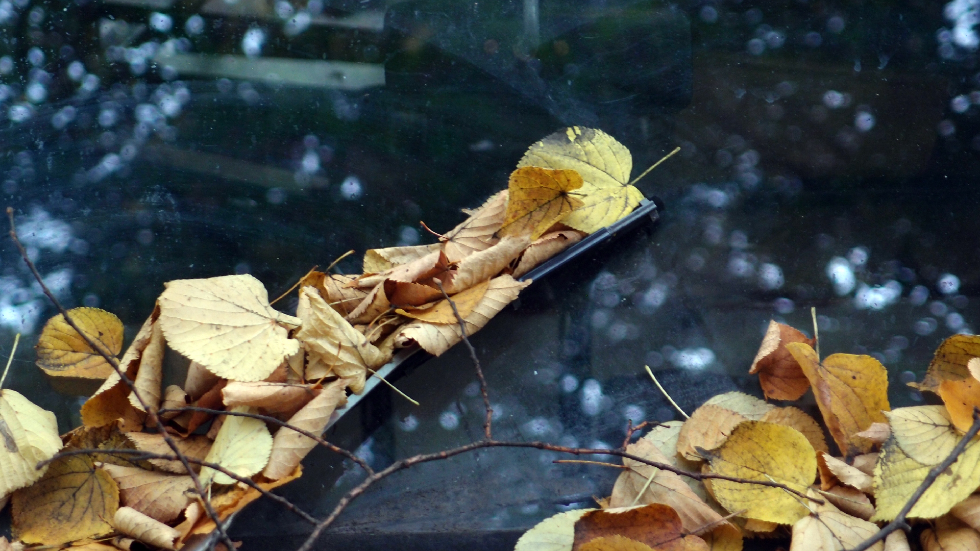 2022-10-12 Wort Bild Virus (Foto)