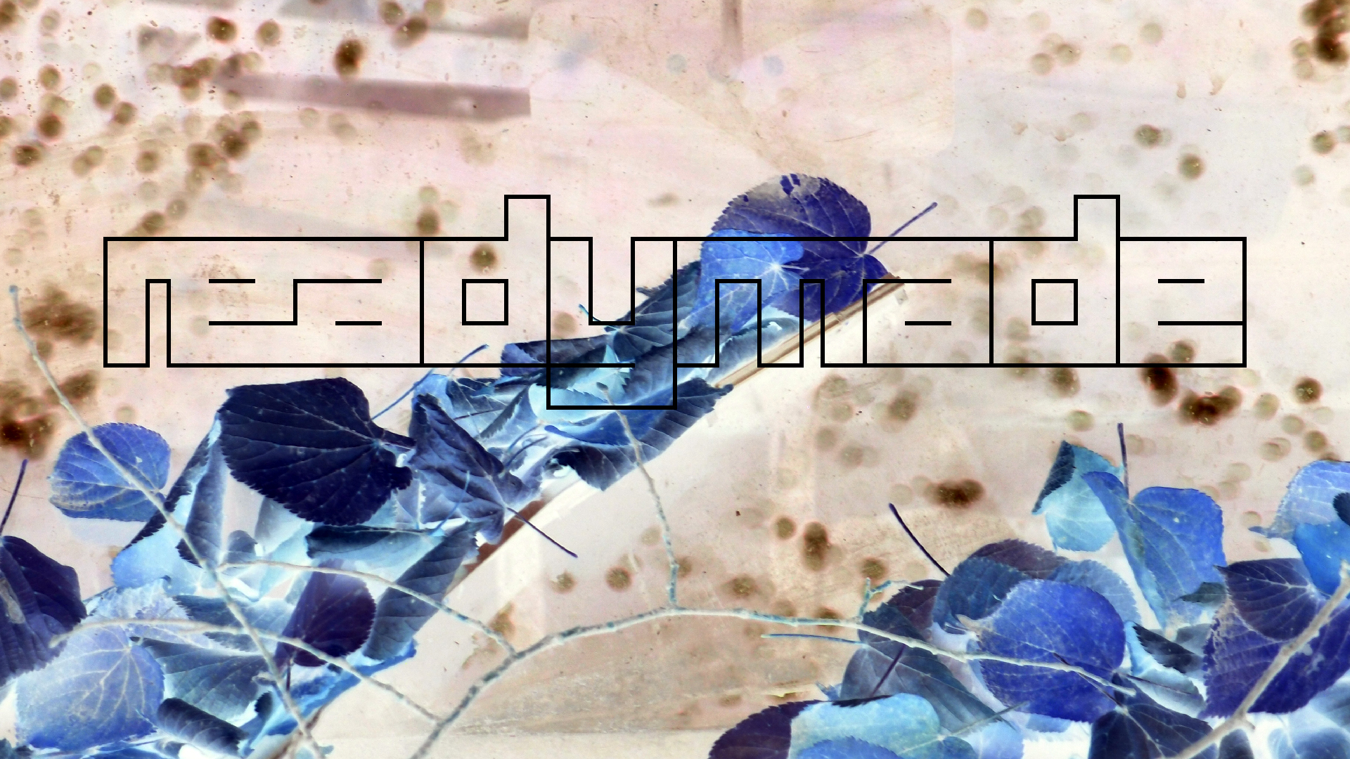 2022-10-12 Wort Bild Virus (Foto)