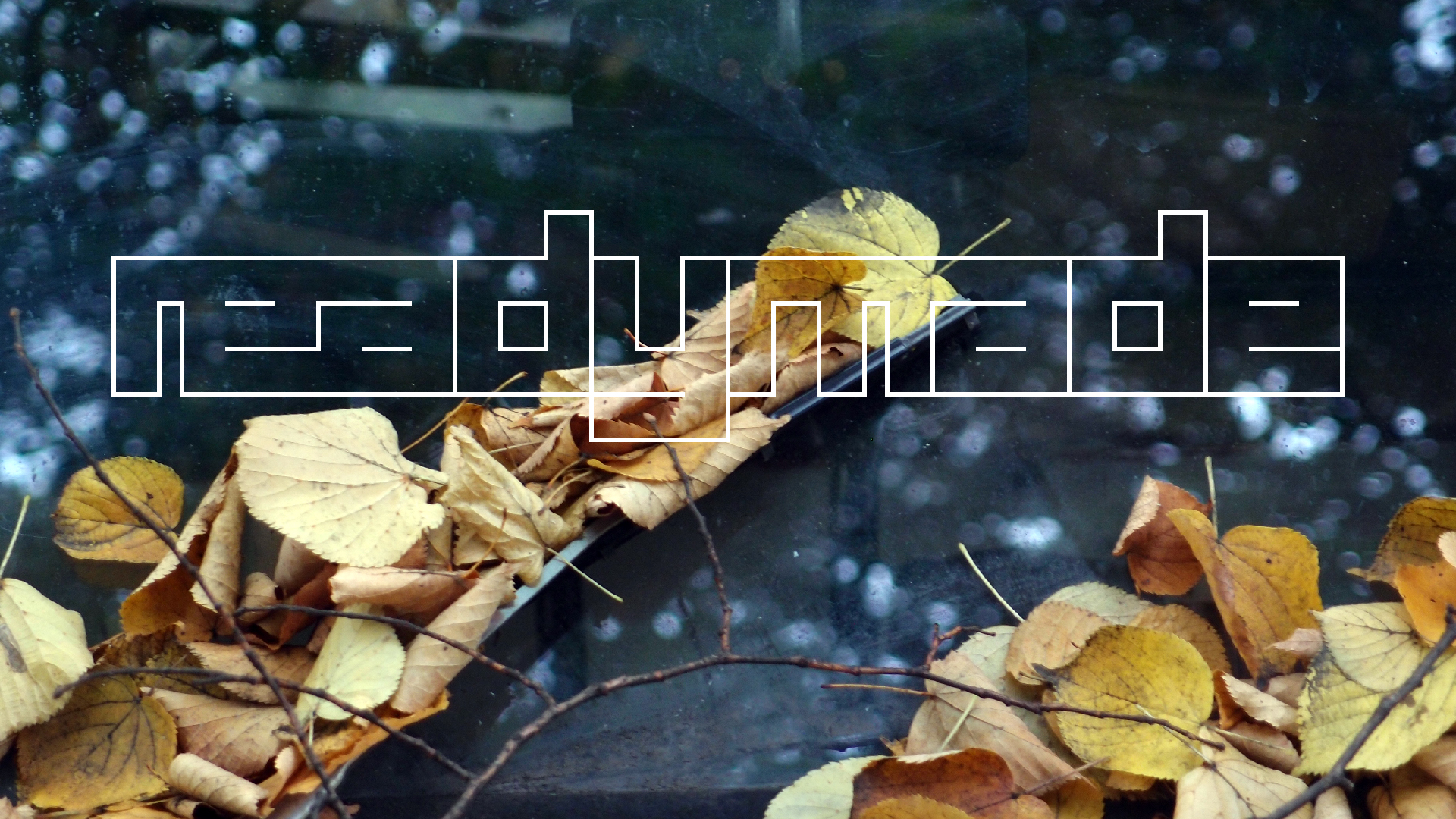 2022-10-12 Wort Bild Virus (Foto)