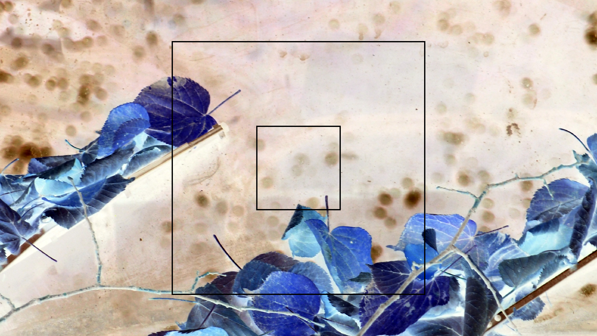 2022-10-12 Wort Bild Virus (Foto)