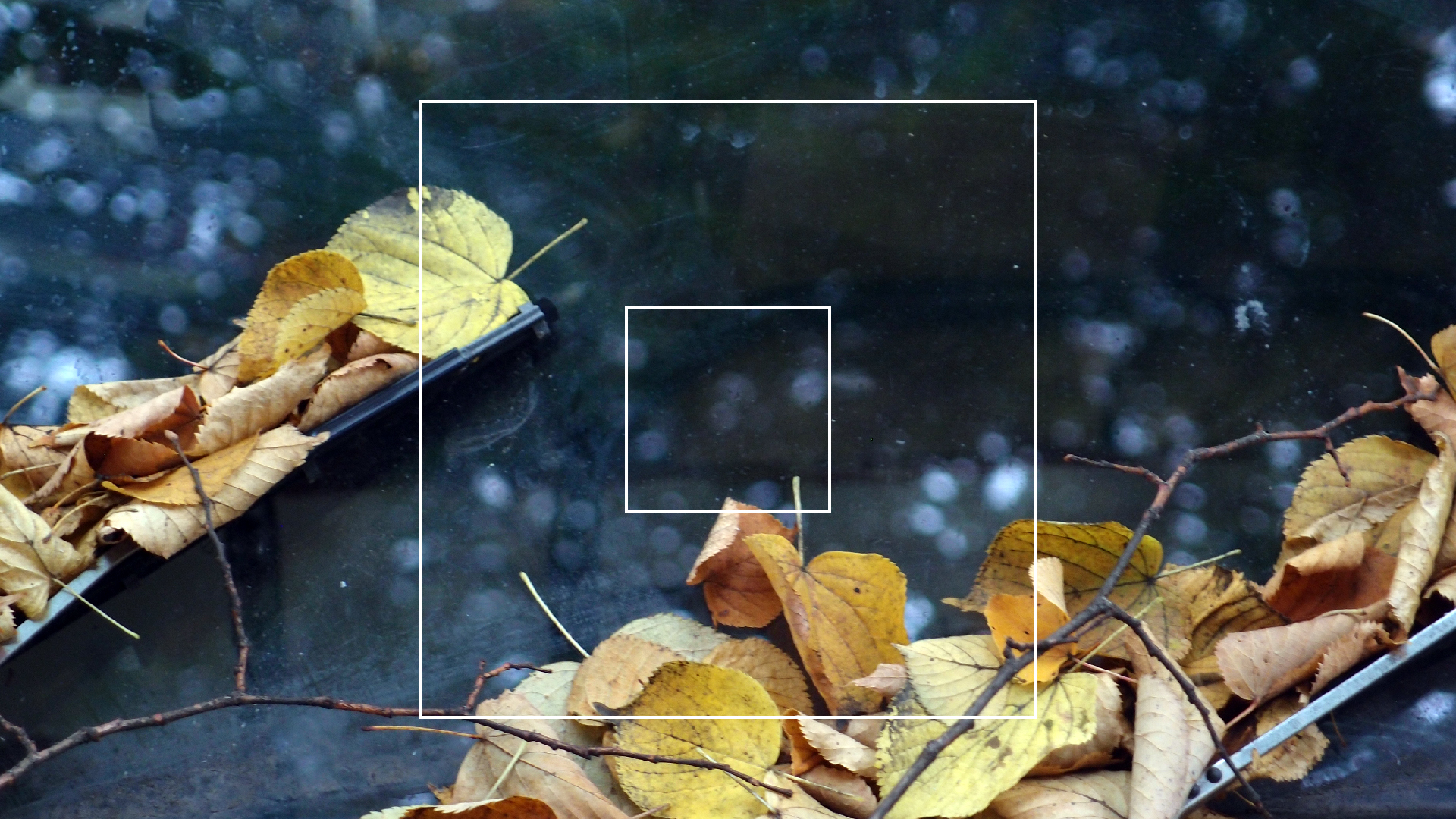 2022-10-12 Wort Bild Virus (Foto)