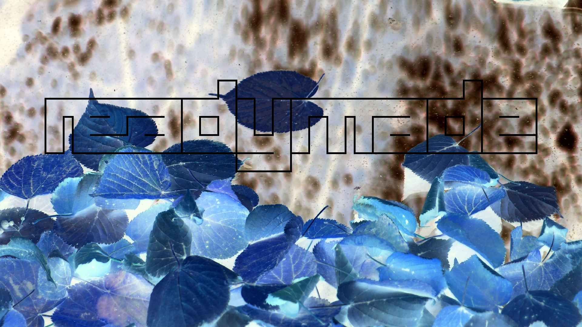 2022-10-12 Wort Bild Virus (Foto)