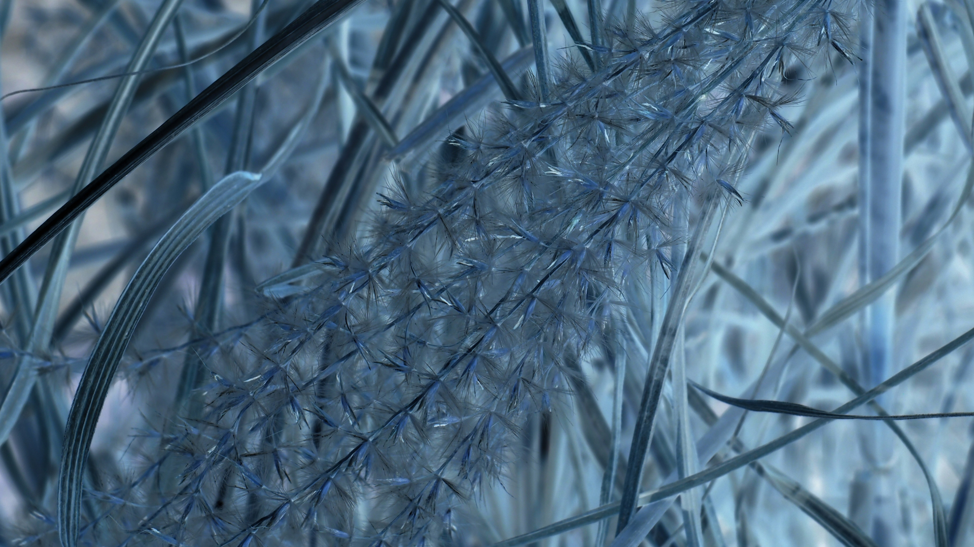 2021-02-26 Monolith - Hanno Leichtmann (Digitaler Mix)