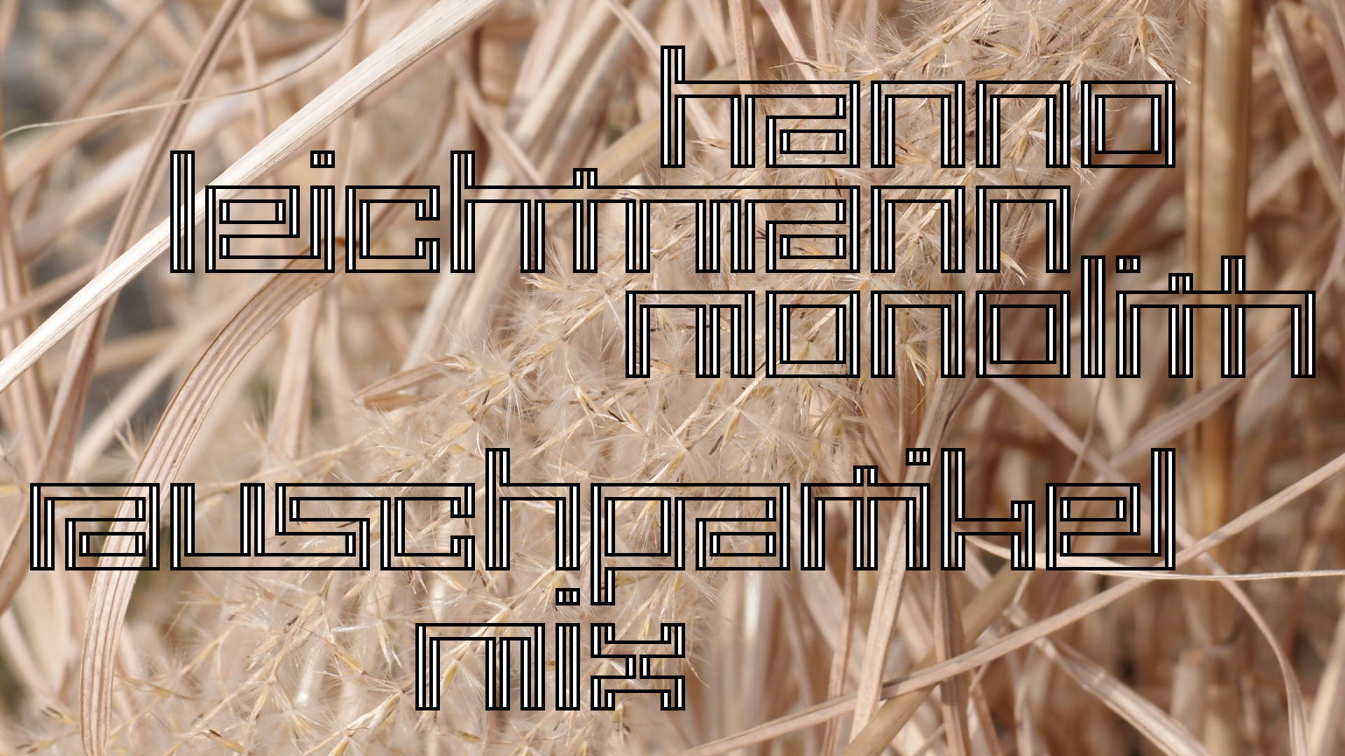 2021-02-26 Monolith - Hanno Leichtmann (Digitaler Mix)