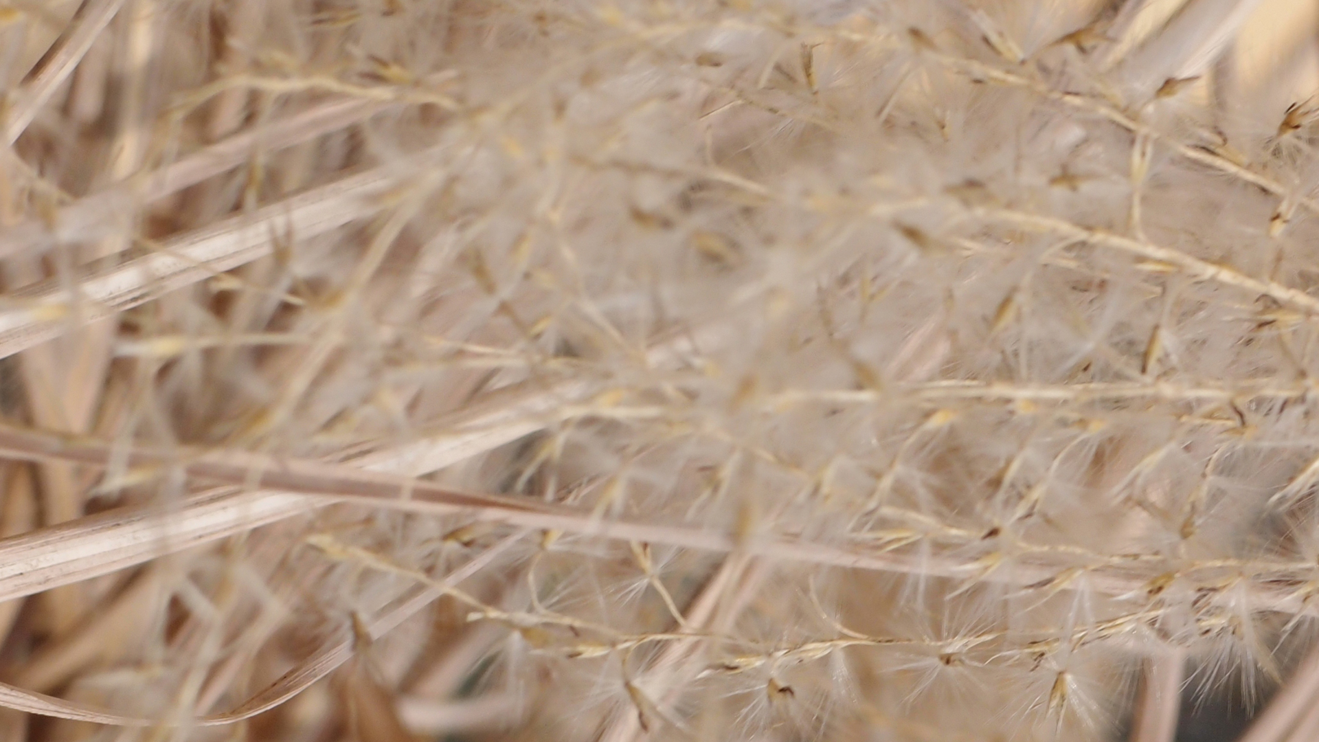 2021-02-26 Monolith - Hanno Leichtmann (Digitaler Mix)