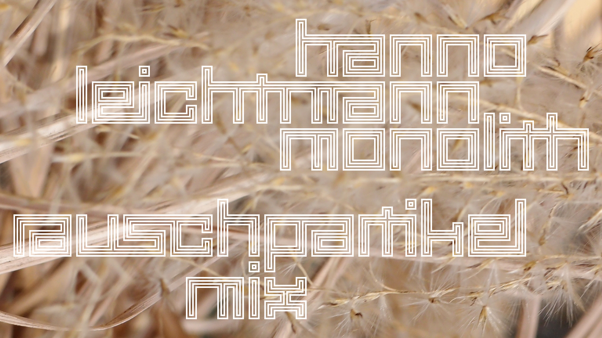 2021-02-26 Monolith - Hanno Leichtmann (Digitaler Mix)