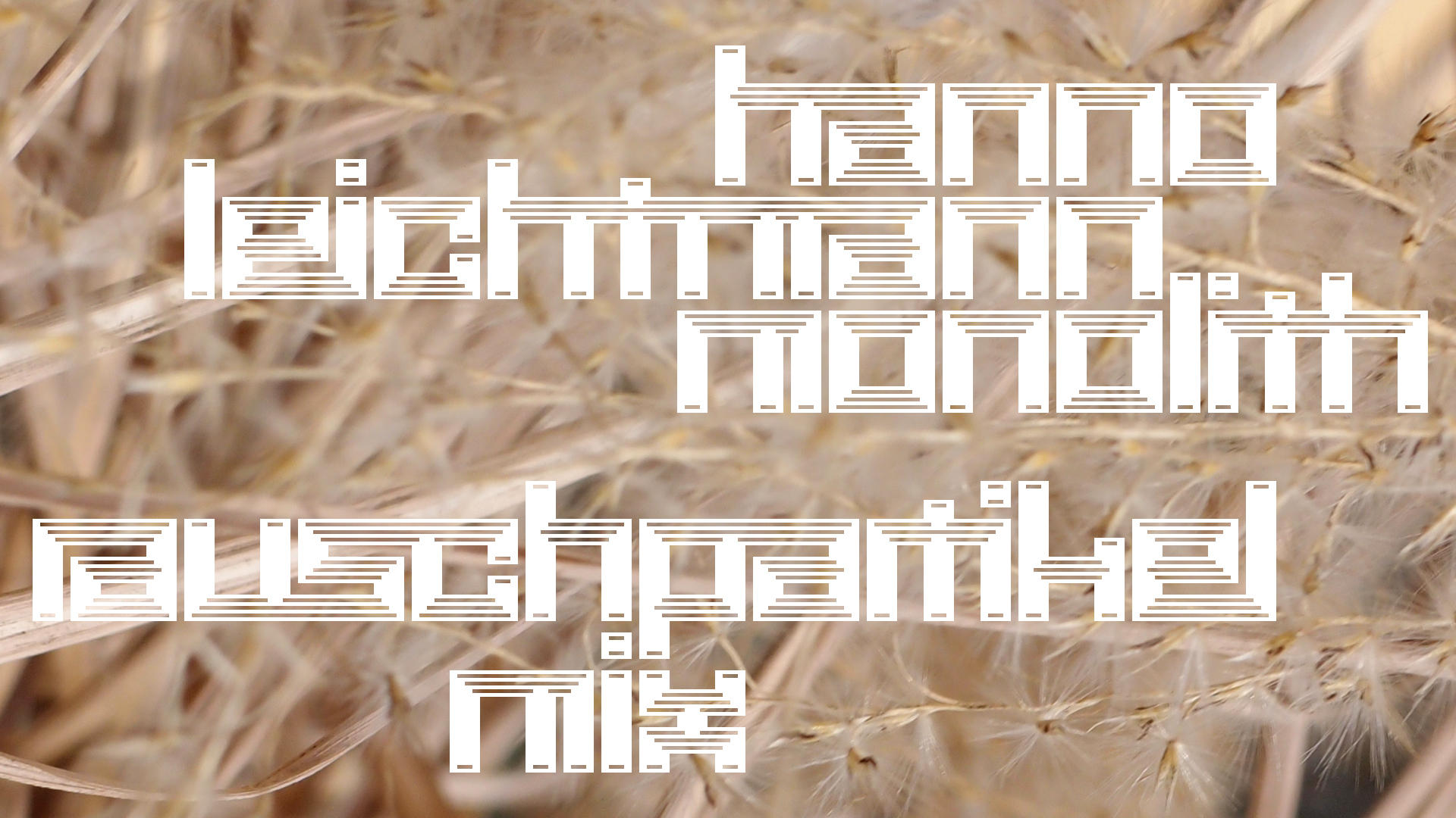 2021-02-26 Monolith - Hanno Leichtmann (Digitaler Mix)