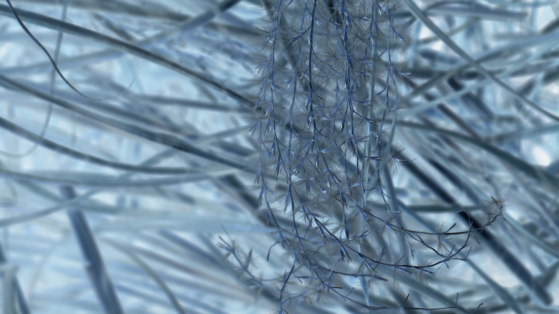 2021-02-26 Monolith - Hanno Leichtmann (Digitaler Mix)