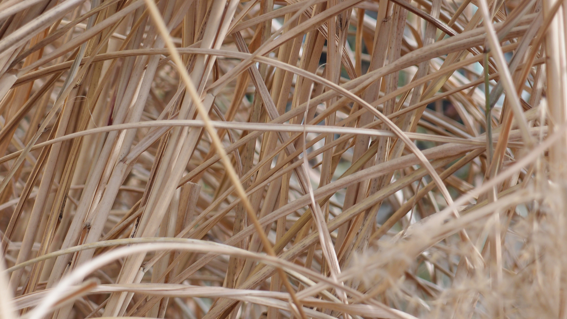 2021-02-26 Monolith - Hanno Leichtmann (Digitaler Mix)