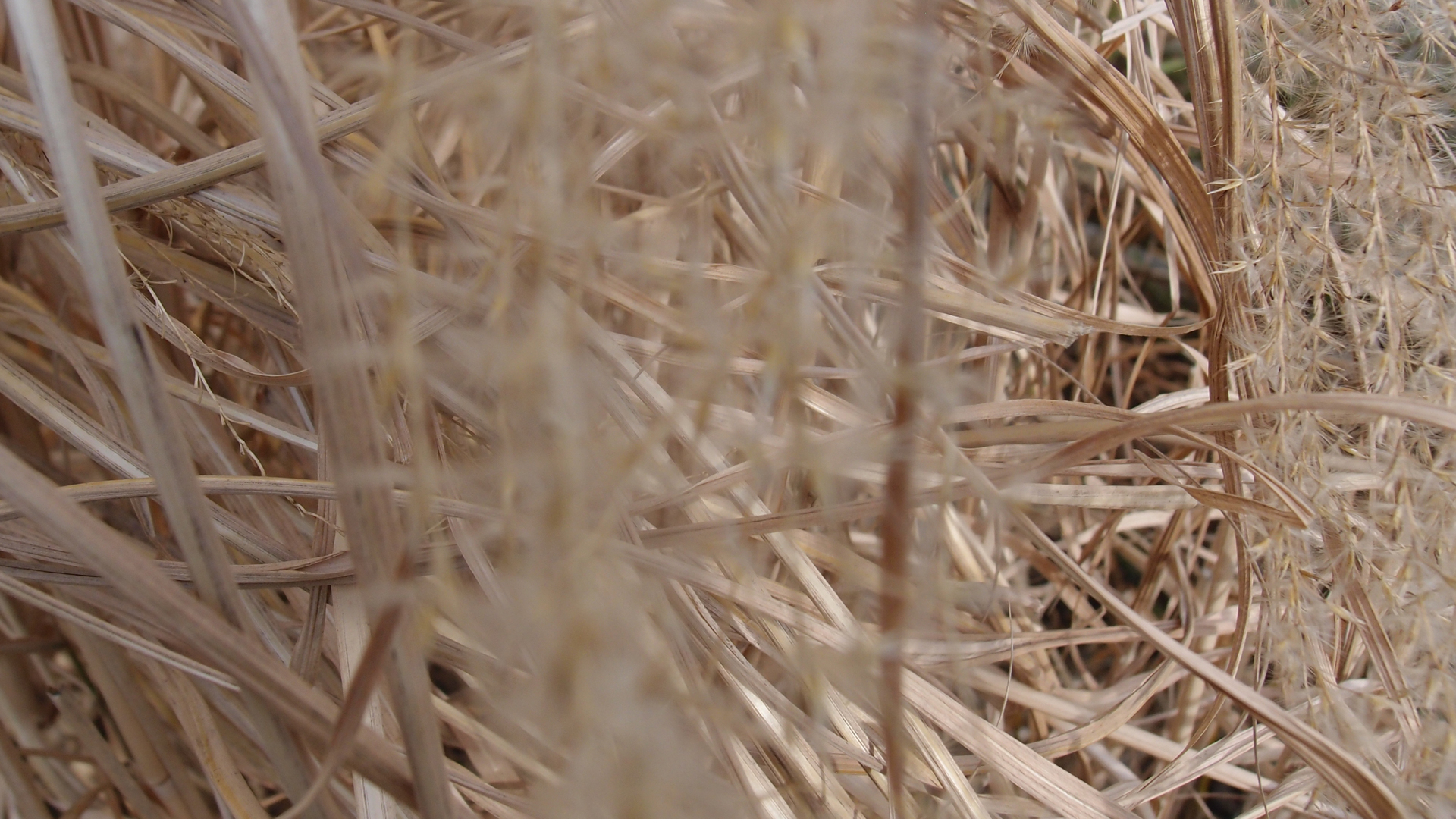 2021-02-26 Monolith - Hanno Leichtmann (Digitaler Mix)