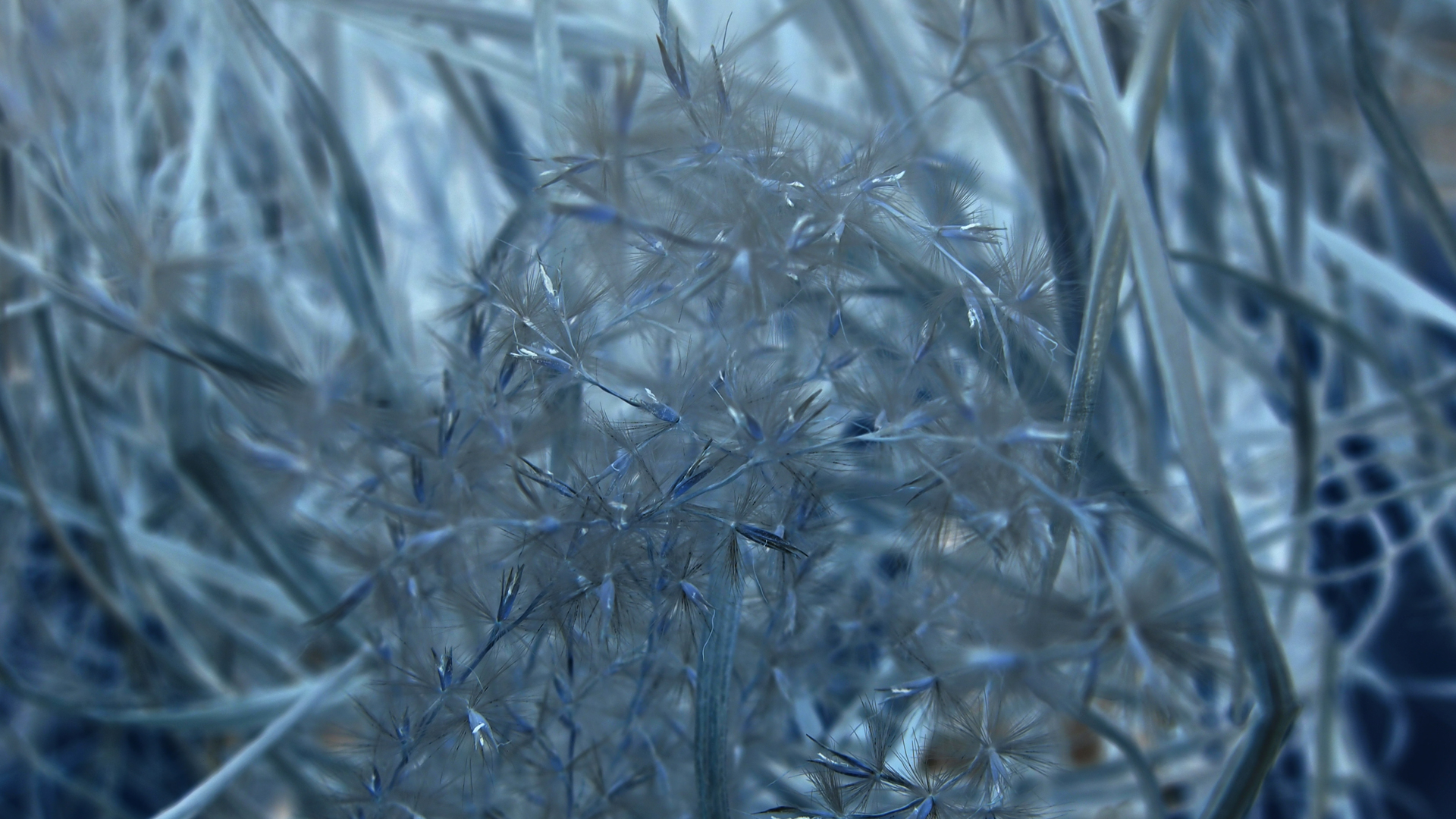 2021-02-26 Monolith - Hanno Leichtmann (Digitaler Mix)