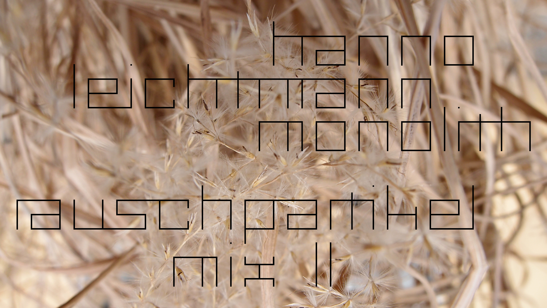 2021-02-26 Monolith - Hanno Leichtmann (Digitaler Mix)