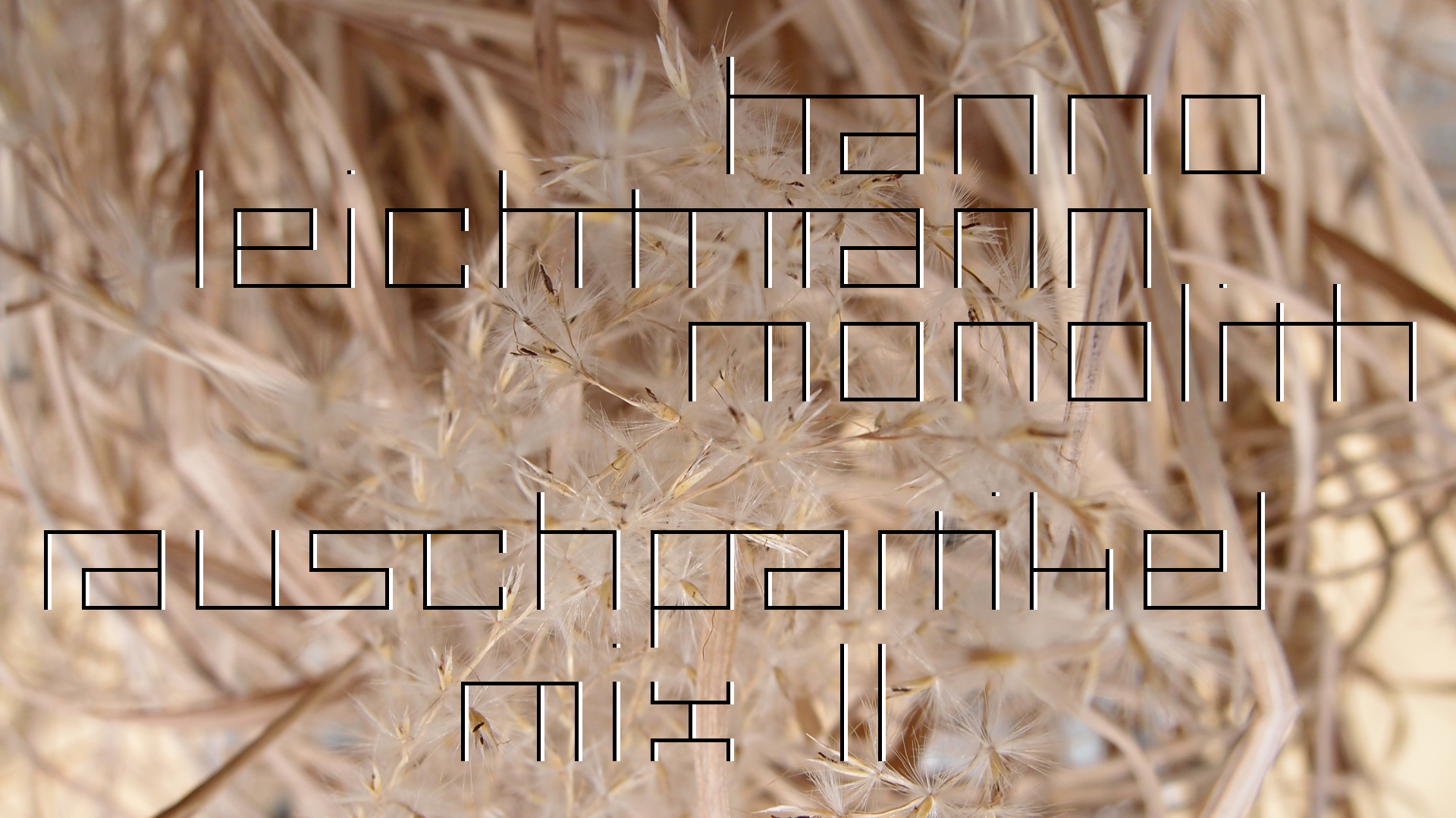 2021-02-26 Monolith - Hanno Leichtmann (Digitaler Mix)