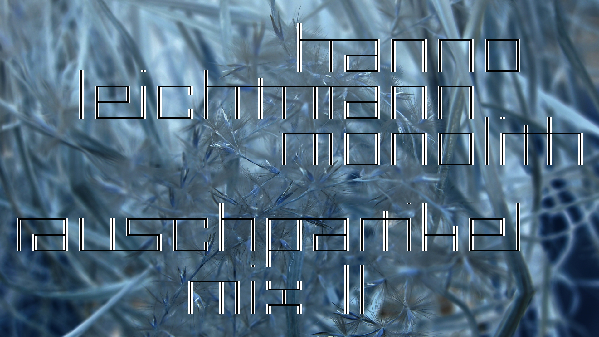 2021-02-26 Monolith - Hanno Leichtmann (Digitaler Mix)