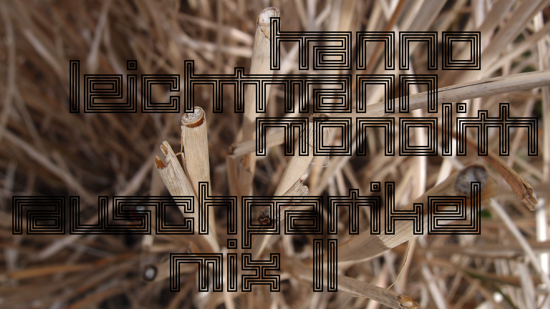 2021-02-26 Monolith - Hanno Leichtmann (Digitaler Mix)