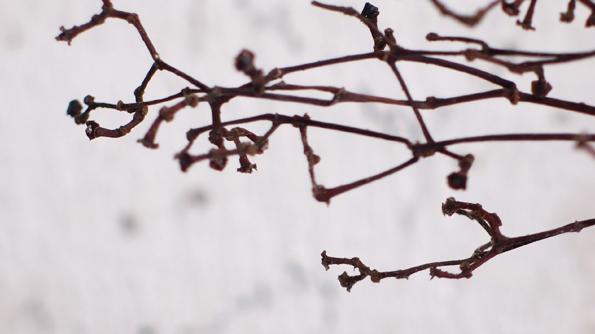 2021-04-17 Ame Zek - rauschpartikel (elektro akustisch) (Recording, Mixe)