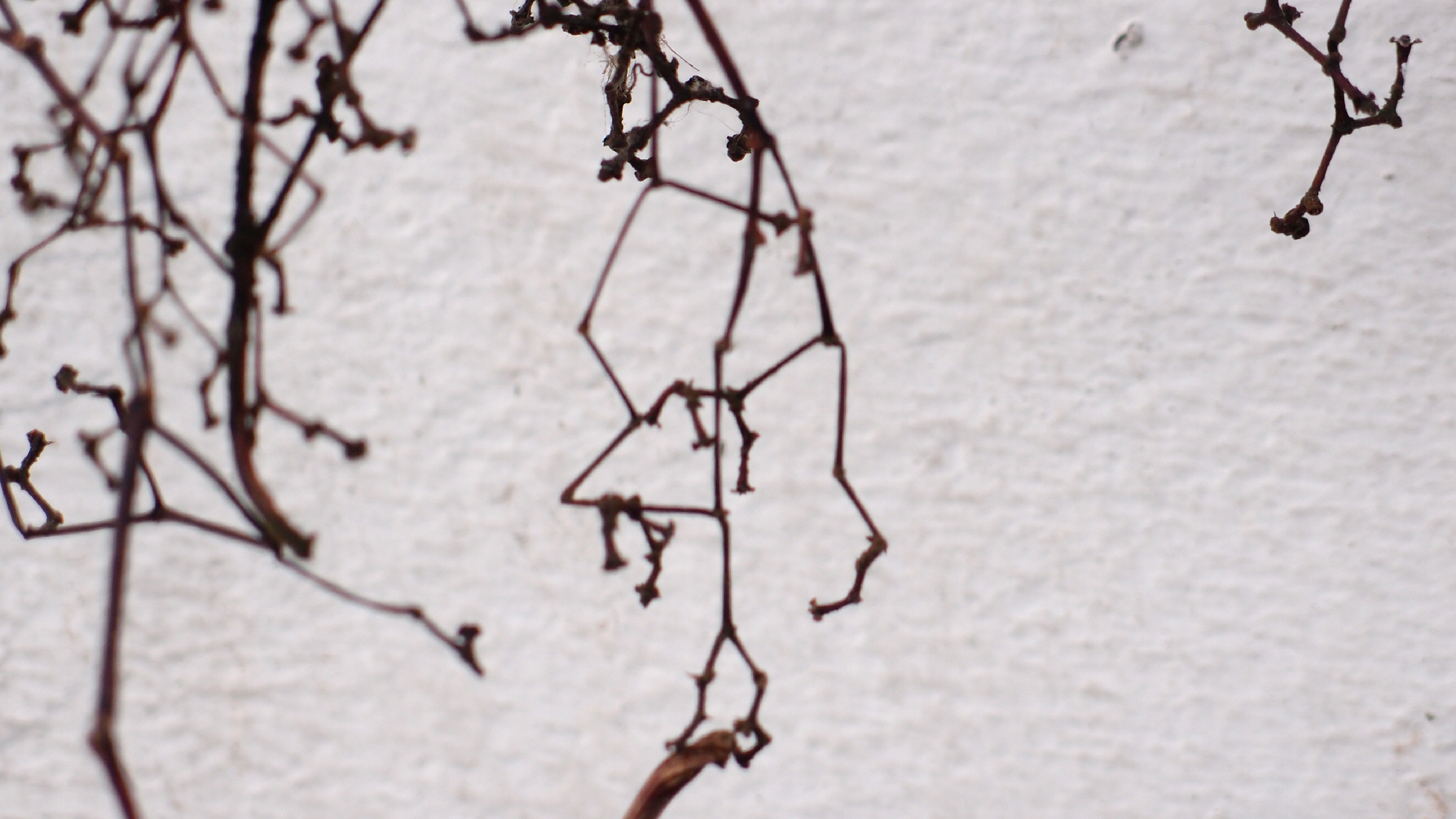 2021-04-17 Ame Zek - rauschpartikel (elektro akustisch) (Recording, Mixe)