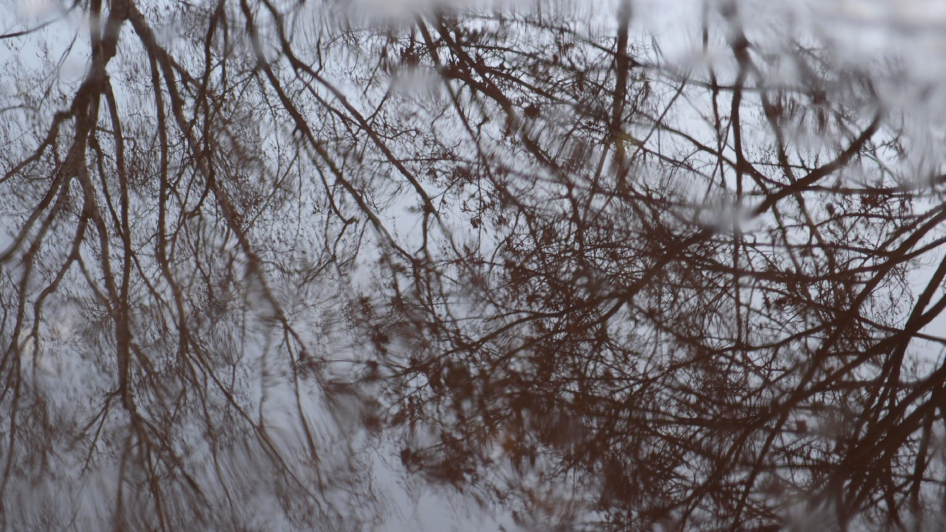 2021-04-17 Ame Zek - rauschpartikel (elektro akustisch) (Recording, Mixe)