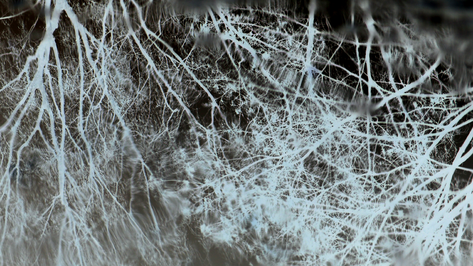 2021-04-17 Ame Zek - rauschpartikel (elektro akustisch) (Recording, Mixe)