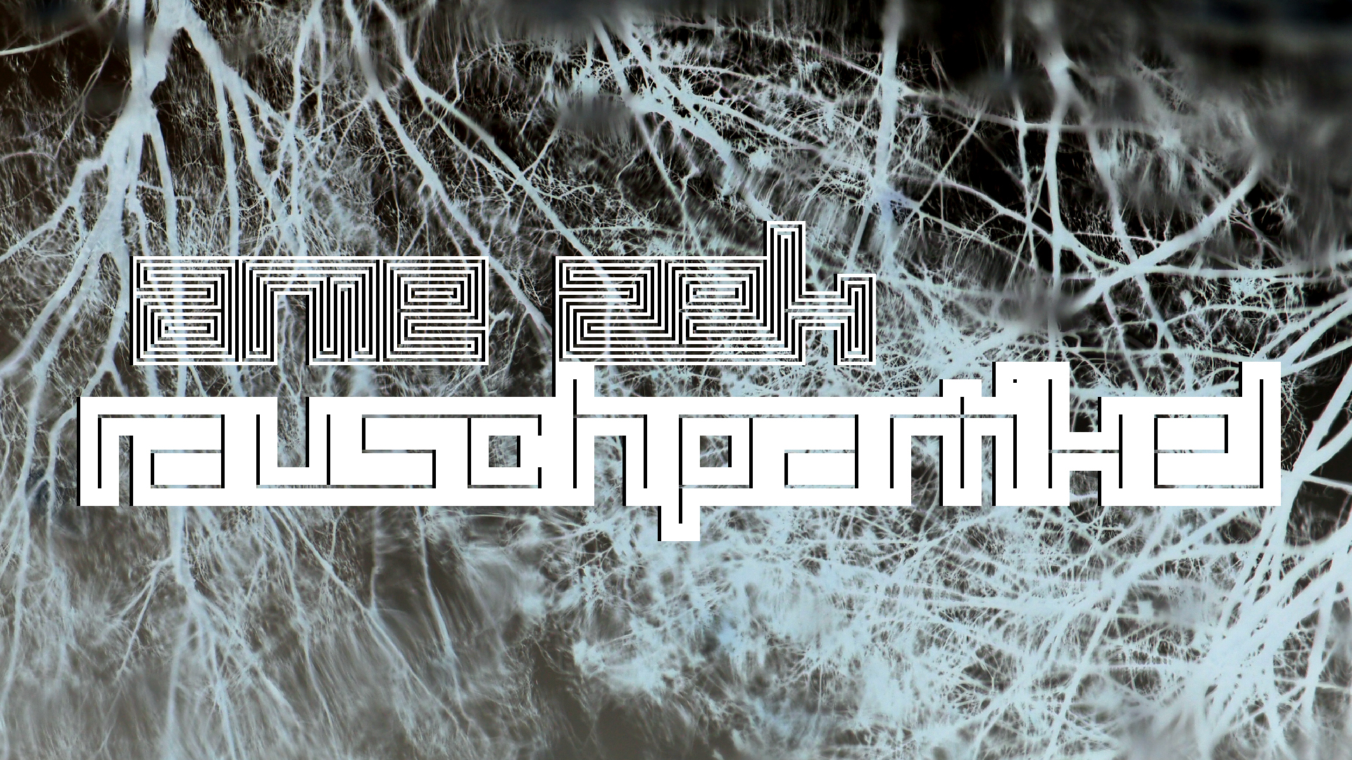 2021-04-17 Ame Zek - rauschpartikel (elektro akustisch) (Recording, Mixe)