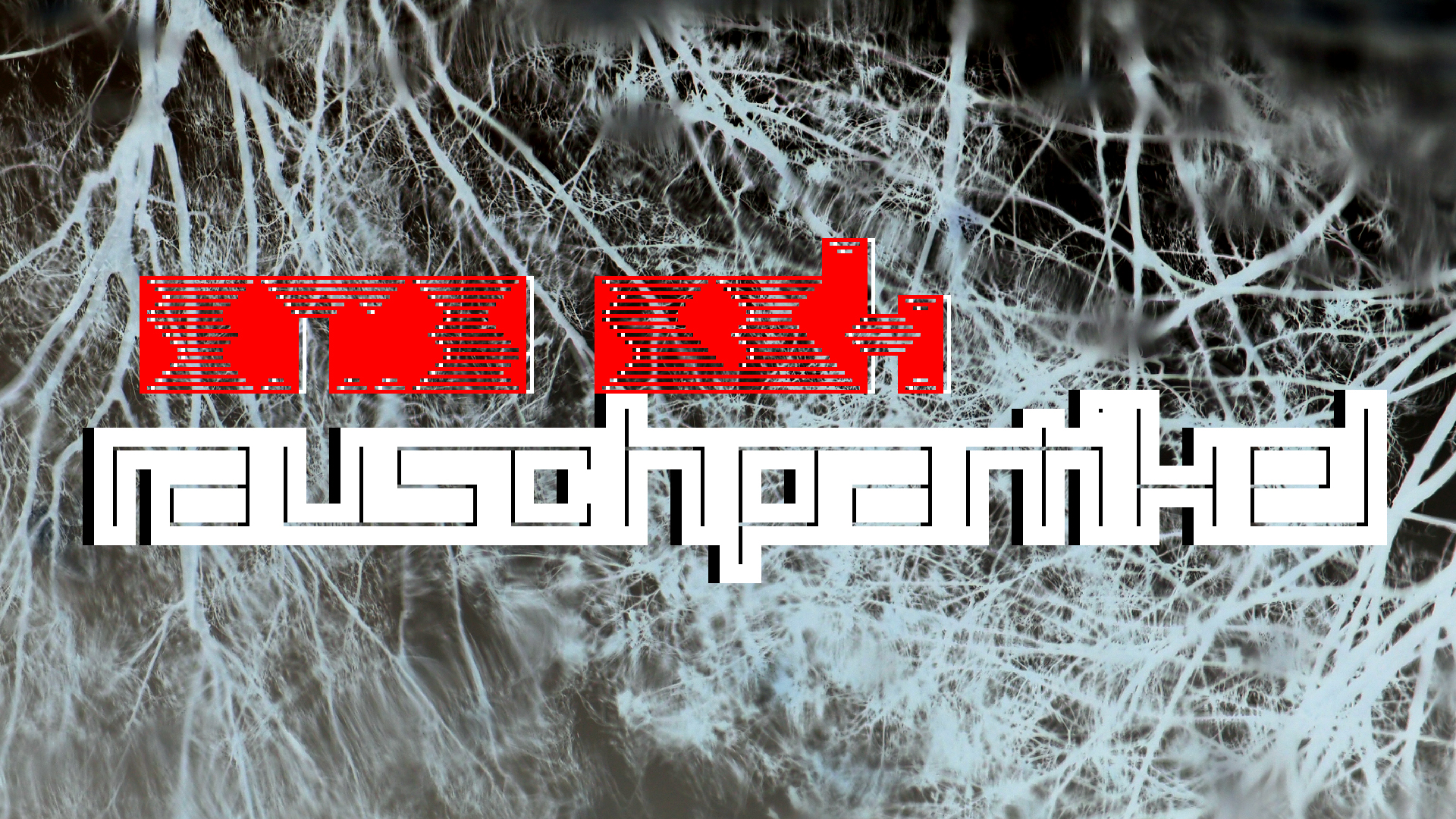 2021-04-17 Ame Zek - rauschpartikel (elektro akustisch) (Recording, Mixe)