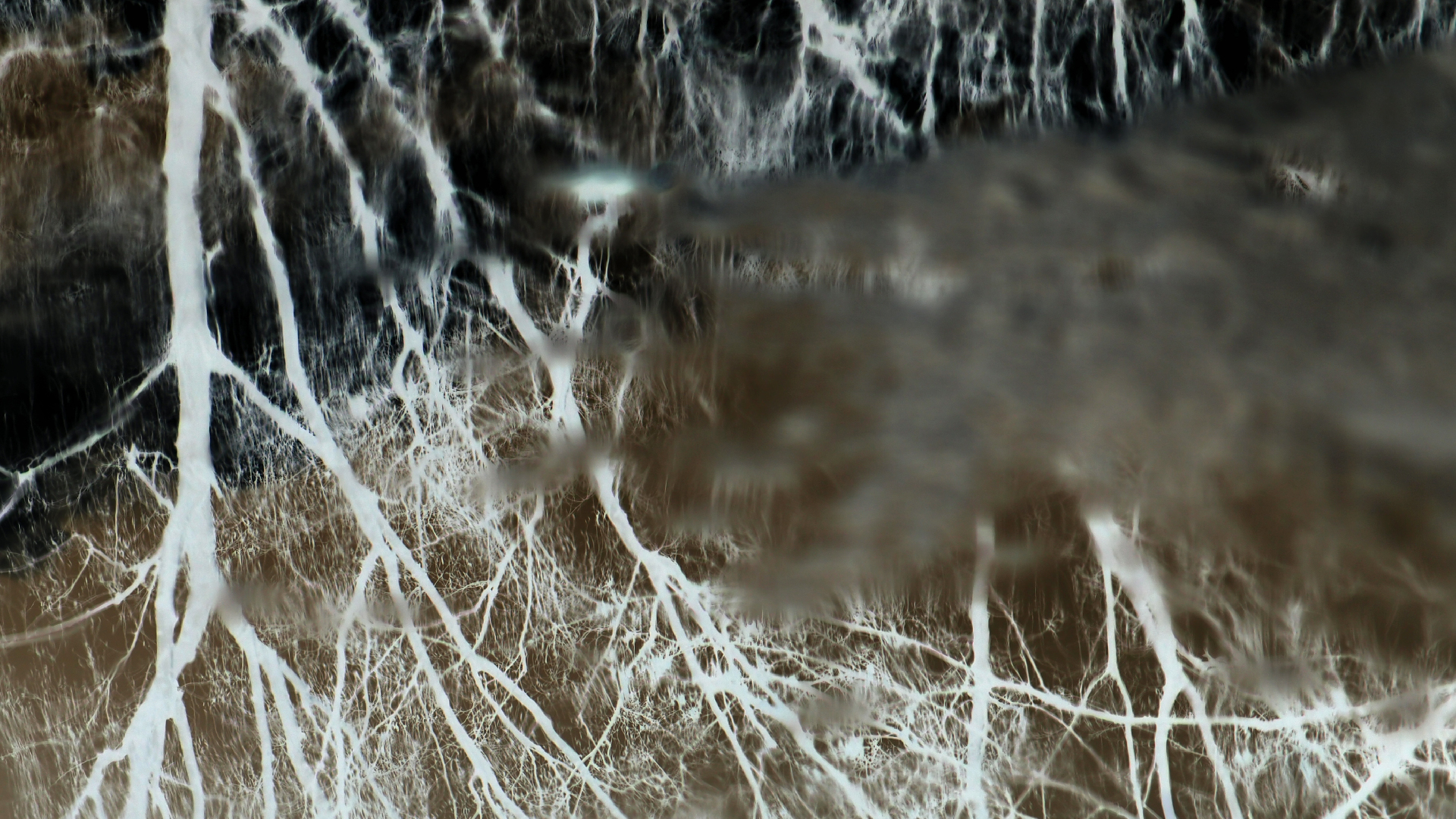 2021-04-17 Ame Zek - rauschpartikel (elektro akustisch) (Recording, Mixe)