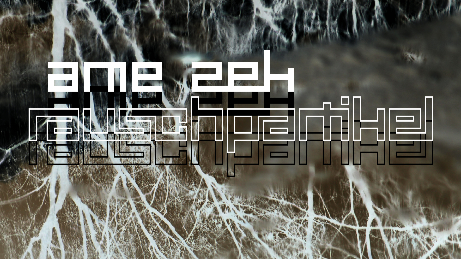 2021-04-17 Ame Zek - rauschpartikel (elektro akustisch) (Recording, Mixe)