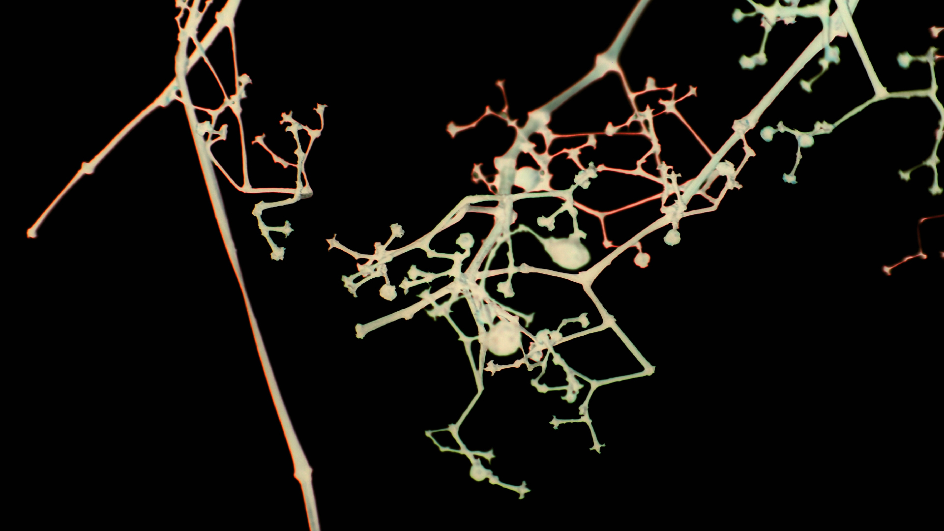 2021-04-17 Ame Zek - rauschpartikel (elektro akustisch) (Recording, Mixe)