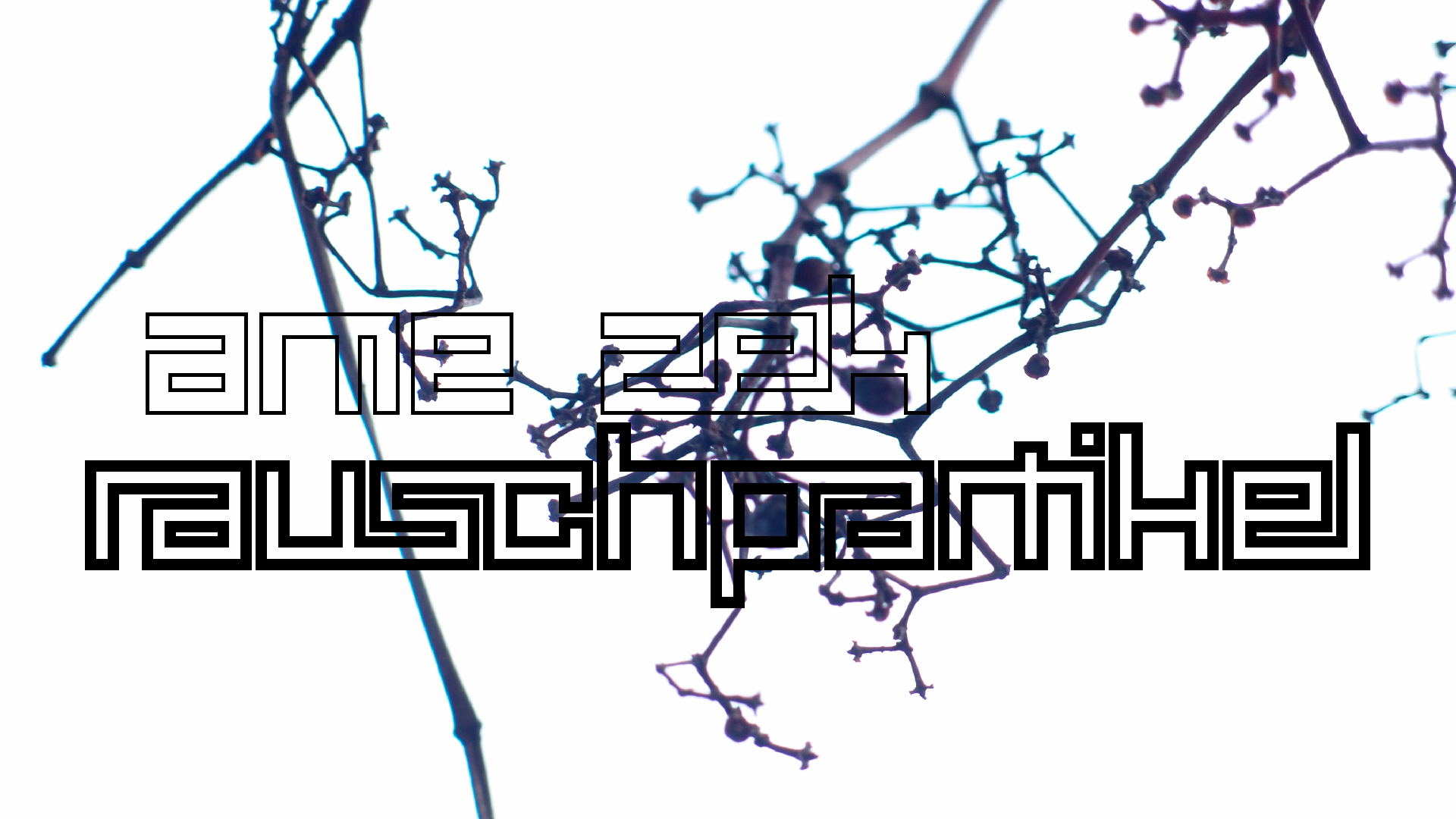 2021-04-17 Ame Zek - rauschpartikel (elektro akustisch) (Recording, Mixe)