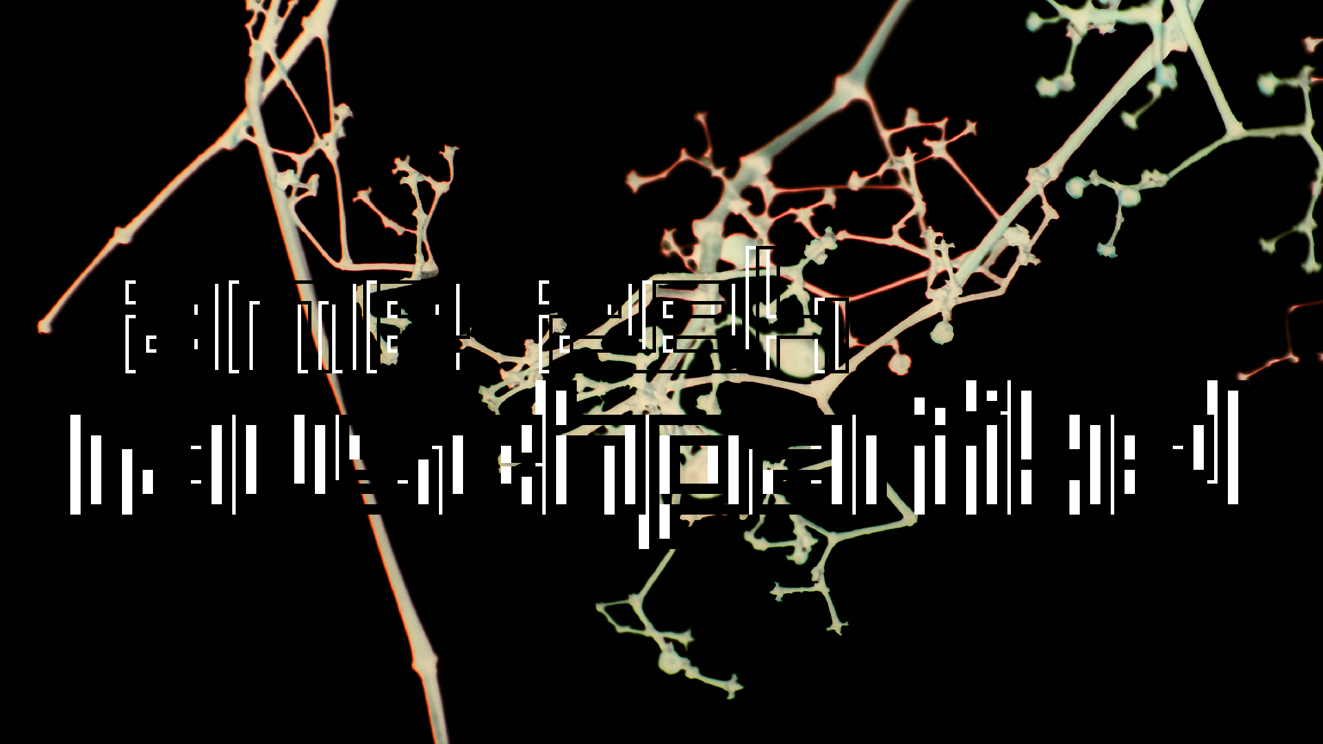 2021-04-17 Ame Zek - rauschpartikel (elektro akustisch) (Recording, Mixe)