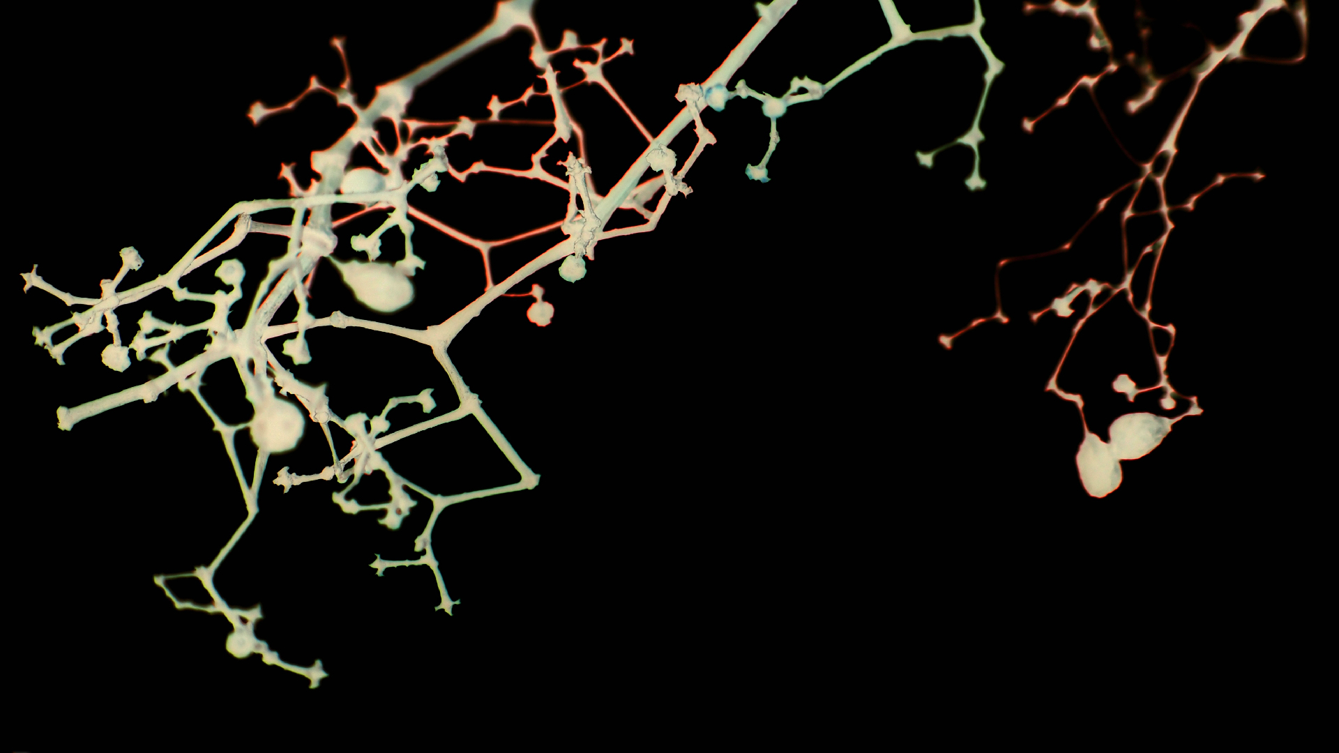 2021-04-17 Ame Zek - rauschpartikel (elektro akustisch) (Recording, Mixe)
