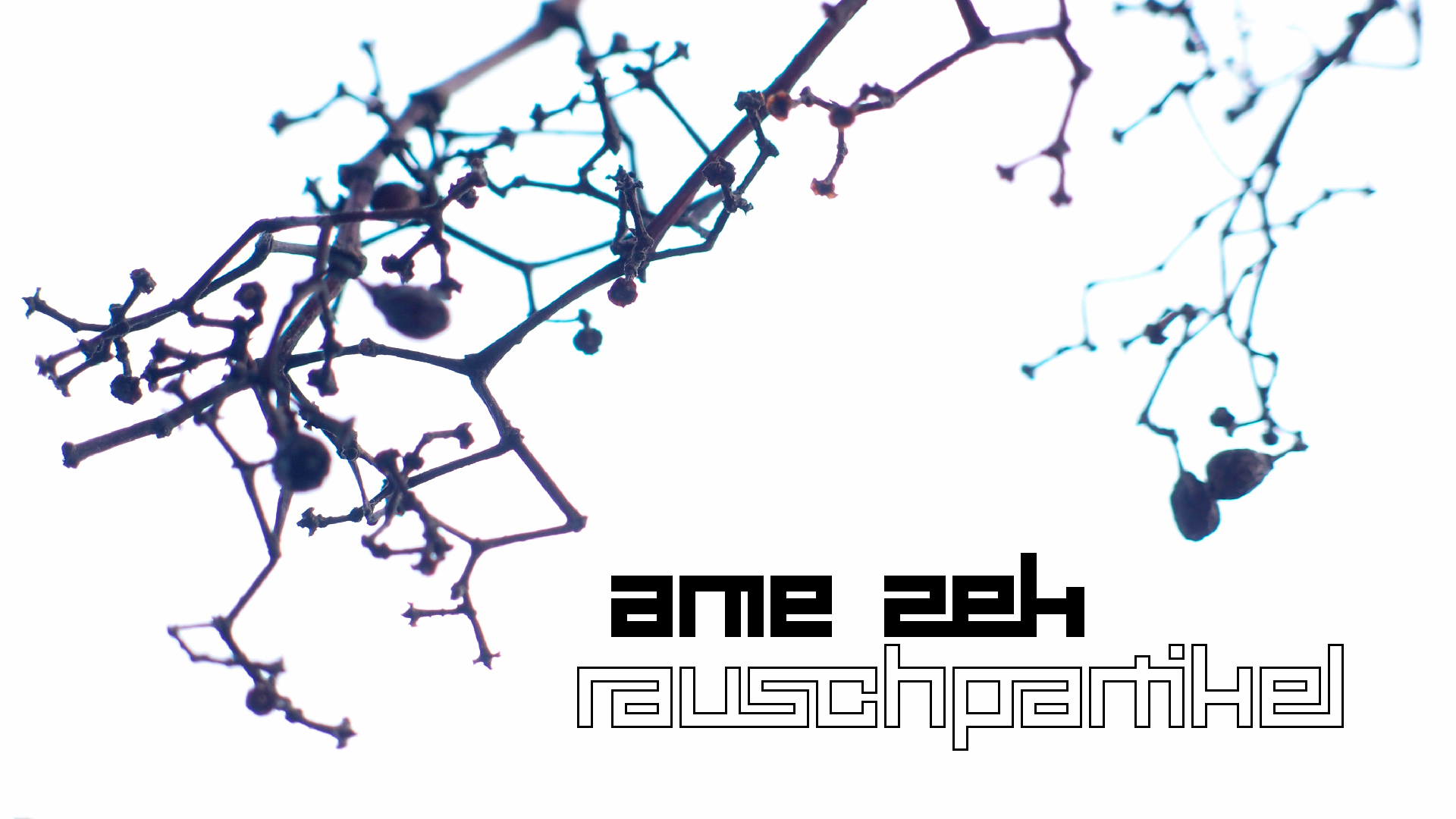 2021-04-17 Ame Zek - rauschpartikel (elektro akustisch) (Recording, Mixe)