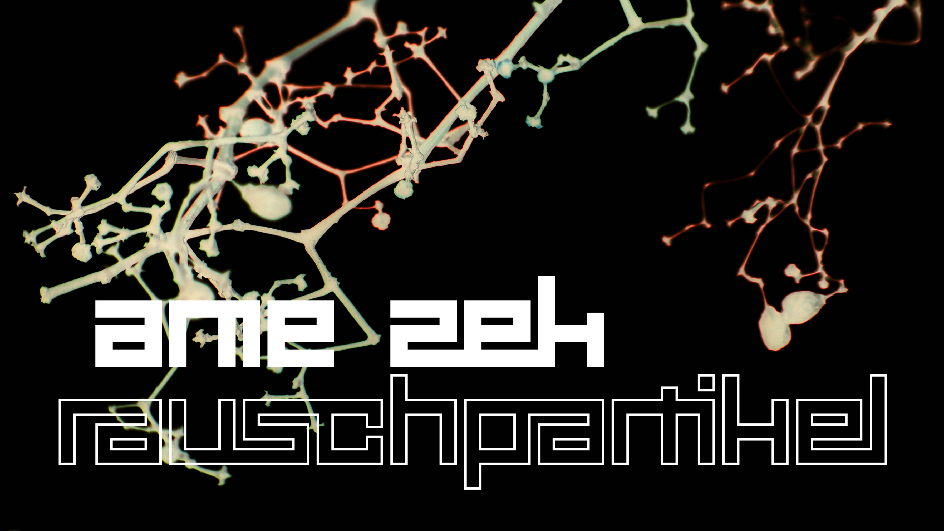 2021-04-17 Ame Zek - rauschpartikel (elektro akustisch) (Recording, Mixe)