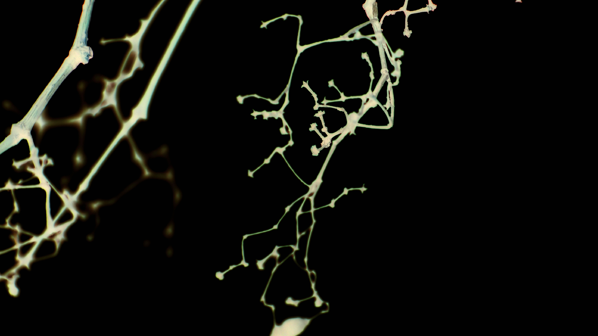 2021-04-17 Ame Zek - rauschpartikel (elektro akustisch) (Recording, Mixe)