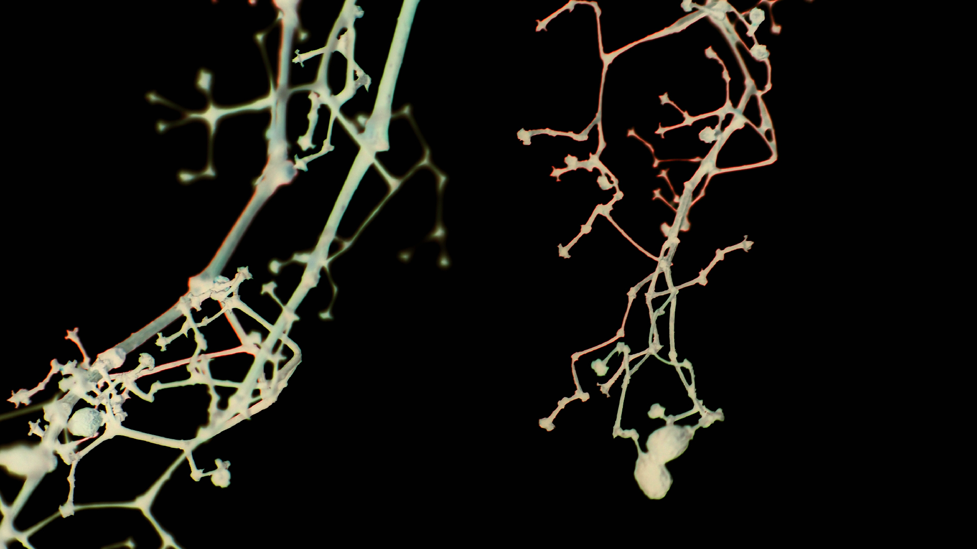 2021-04-17 Ame Zek - rauschpartikel (elektro akustisch) (Recording, Mixe)