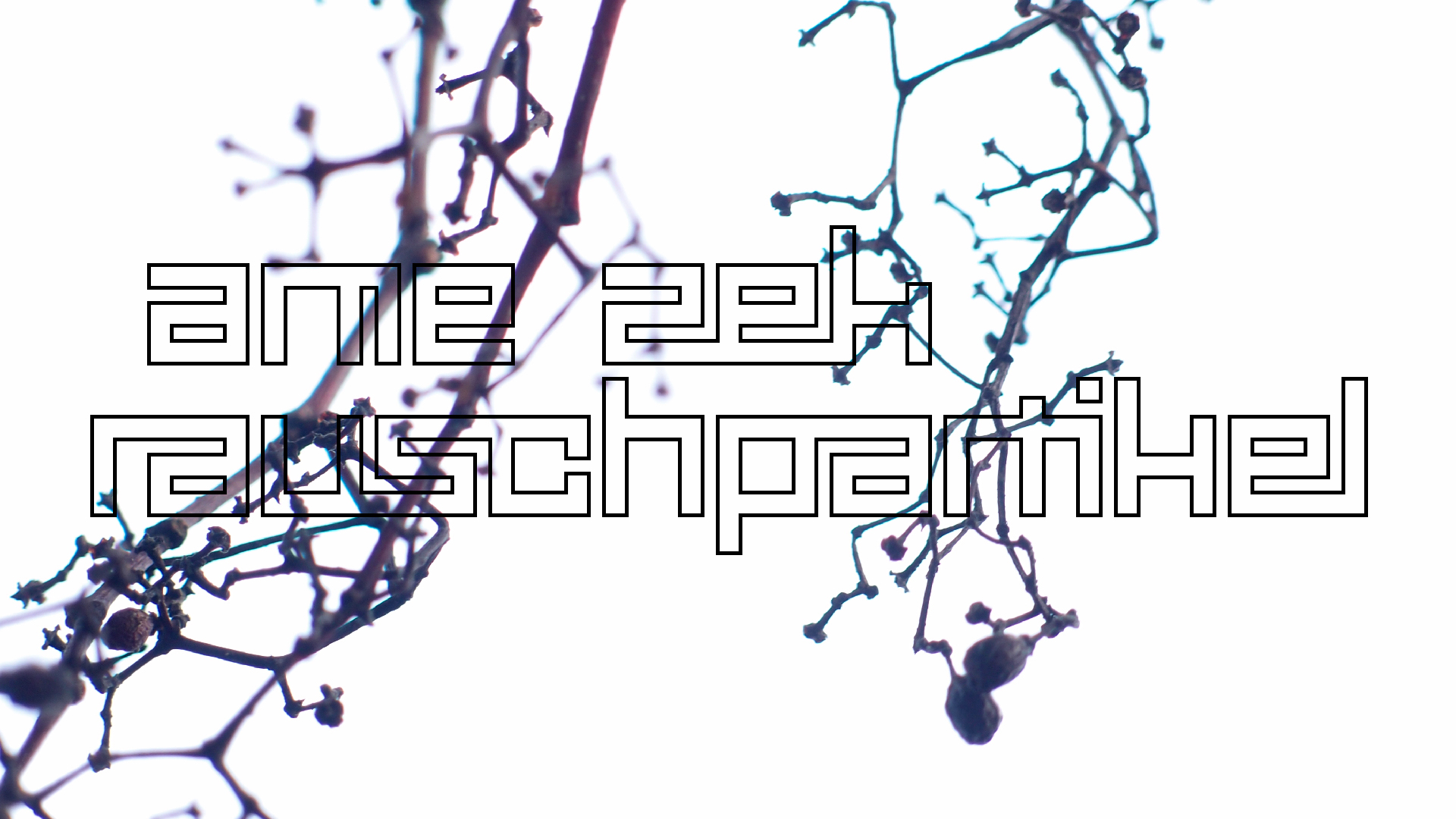 2021-04-17 Ame Zek - rauschpartikel (elektro akustisch) (Recording, Mixe)