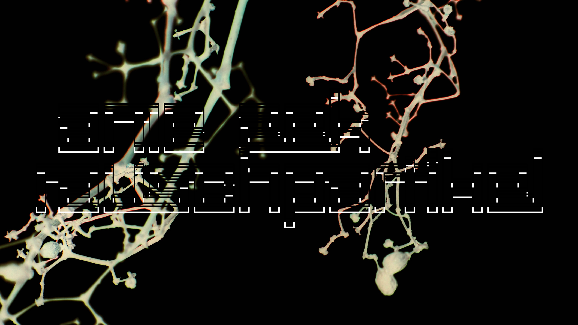 2021-04-17 Ame Zek - rauschpartikel (elektro akustisch) (Recording, Mixe)