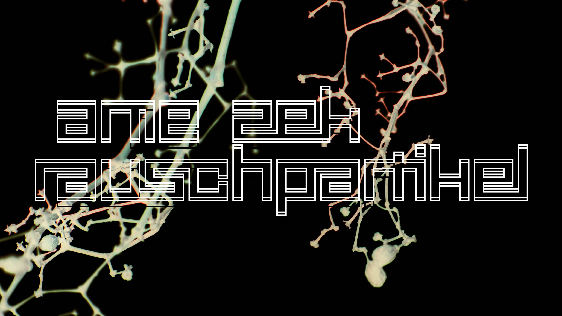 2021-04-17 Ame Zek - rauschpartikel (elektro akustisch) (Recording, Mixe)