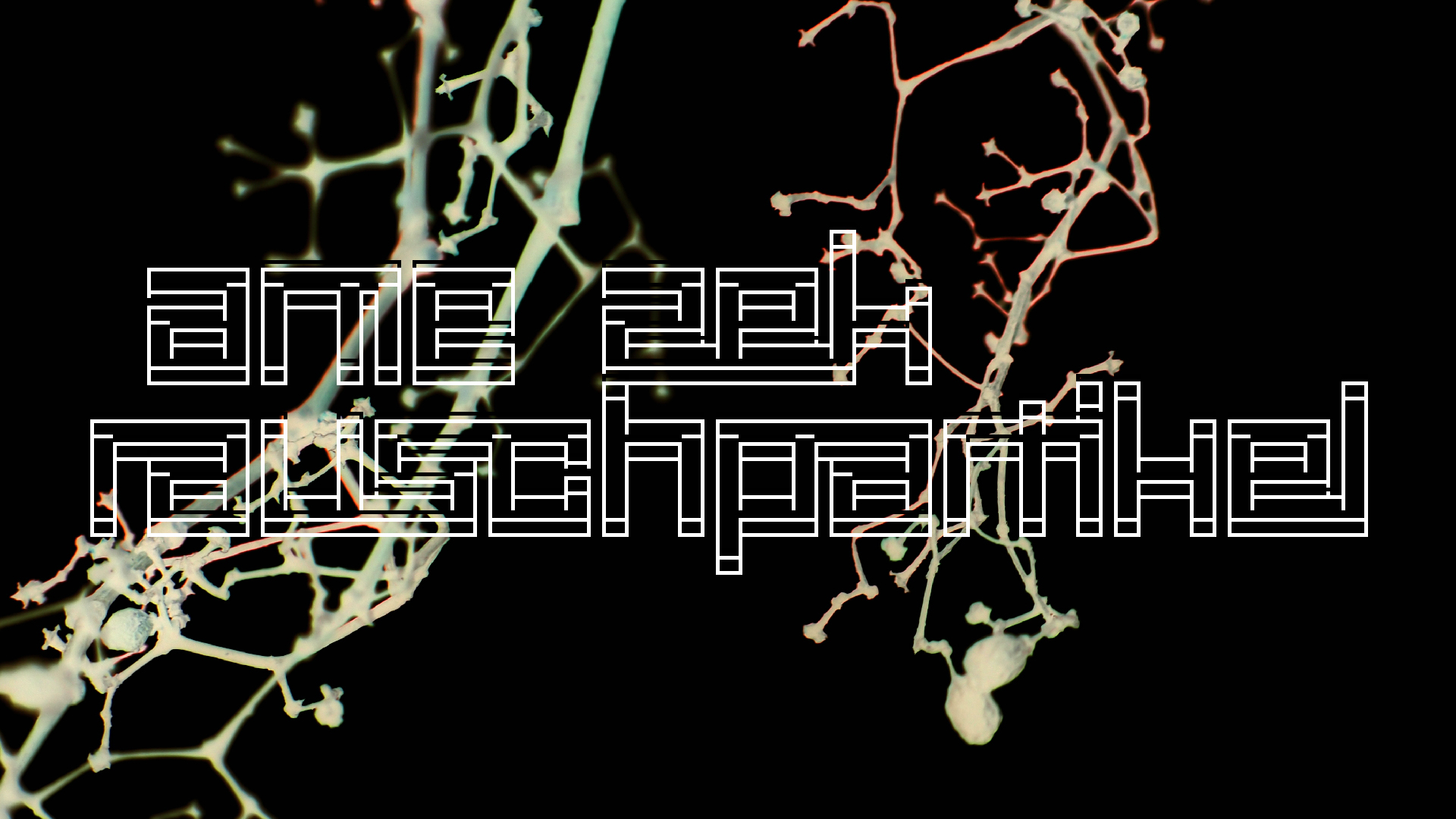 2021-04-17 Ame Zek - rauschpartikel (elektro akustisch) (Recording, Mixe)