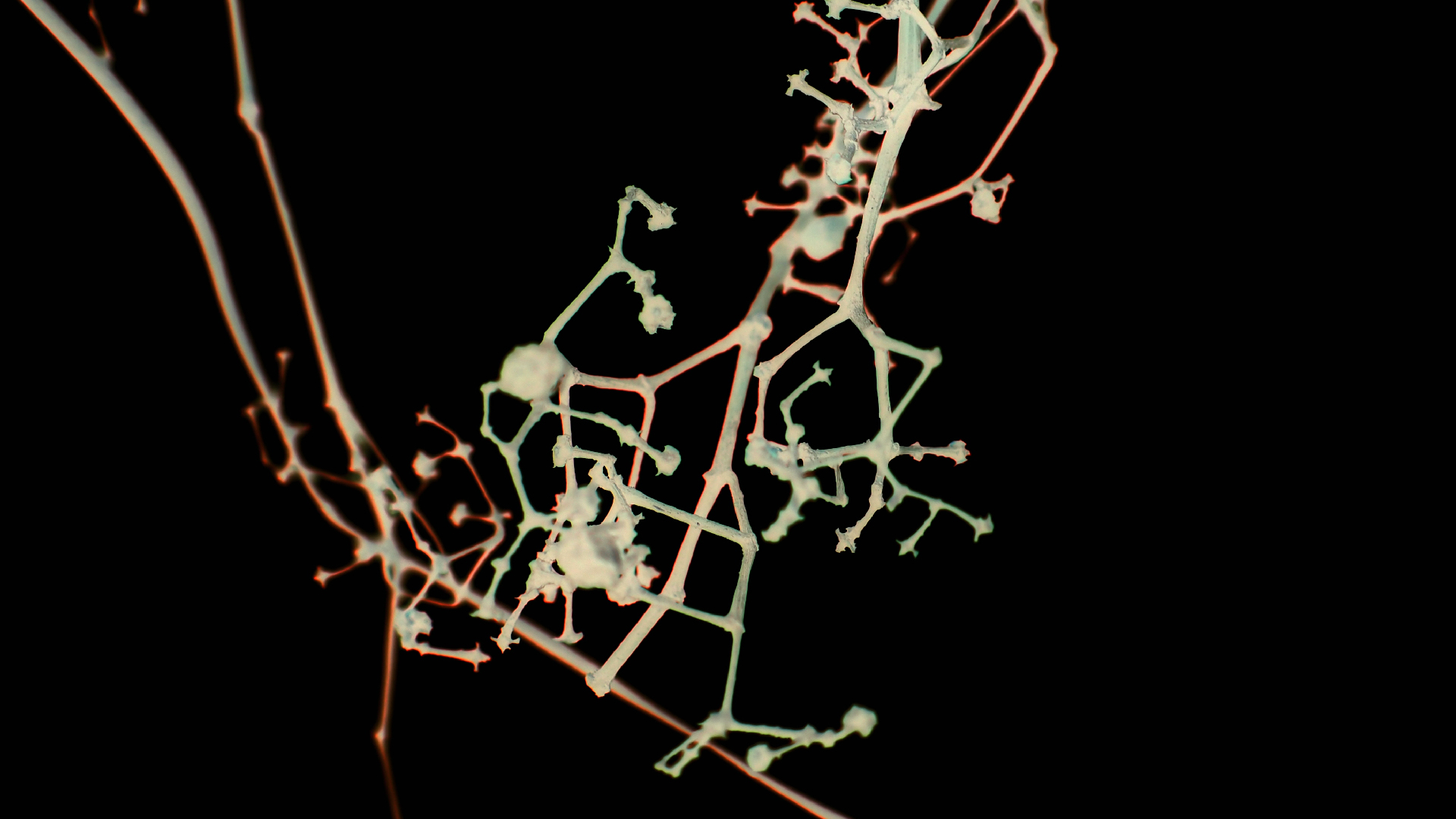 2021-04-17 Ame Zek - rauschpartikel (elektro akustisch) (Recording, Mixe)