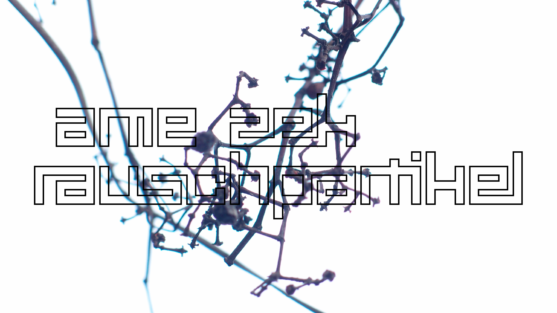 2021-04-17 Ame Zek - rauschpartikel (elektro akustisch) (Recording, Mixe)