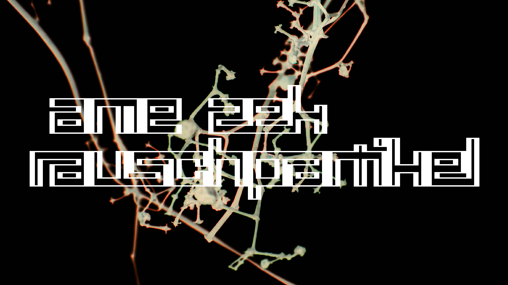 2021-04-17 Ame Zek - rauschpartikel (elektro akustisch) (Recording, Mixe)