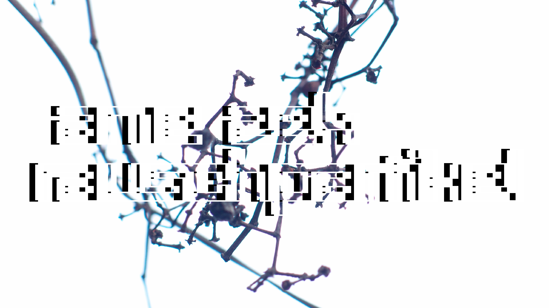 2021-04-17 Ame Zek - rauschpartikel (elektro akustisch) (Recording, Mixe)
